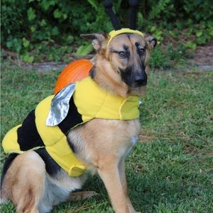 Dog Costume - Bee